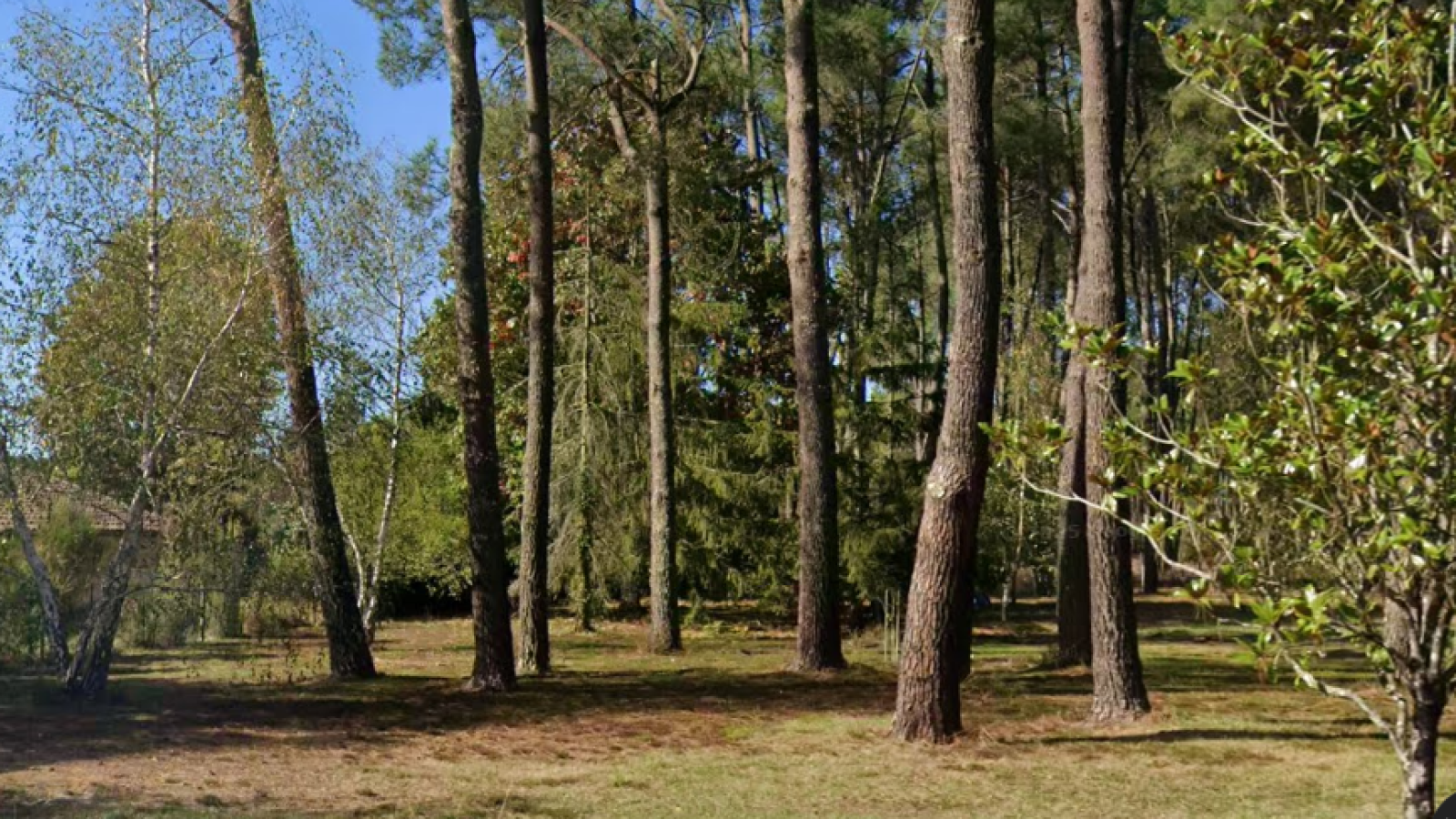 Terrain constructible de 604m2 à Le Teich