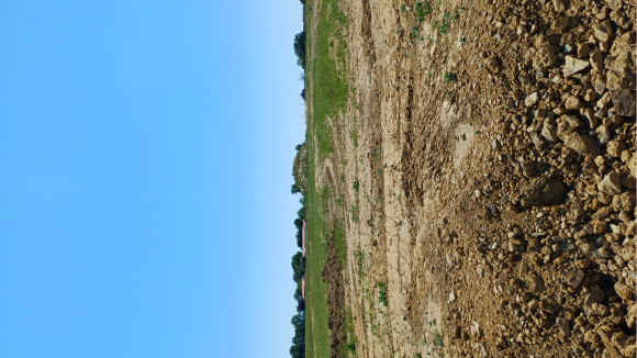 20260525_143033.jpg