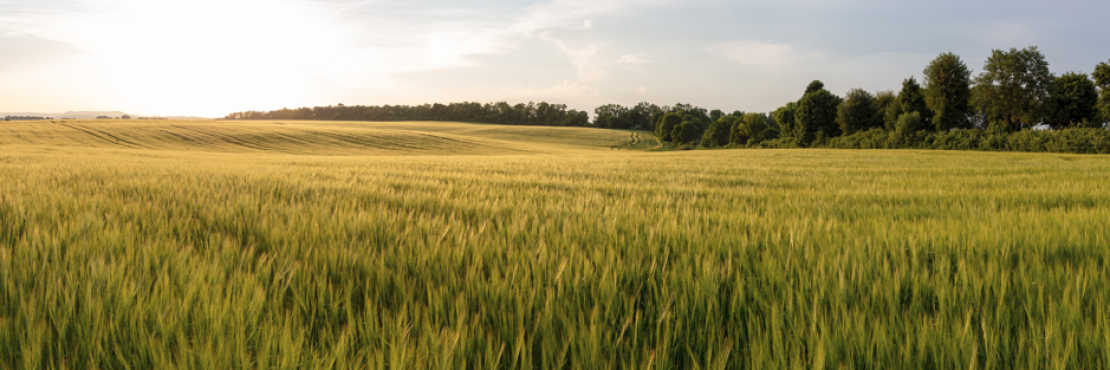 Capture d'écran 2024-06-12 172444.png