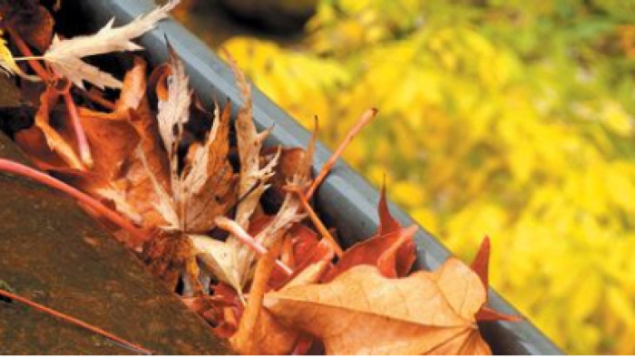 Nos conseils pour bien entretenir sa maison la première année