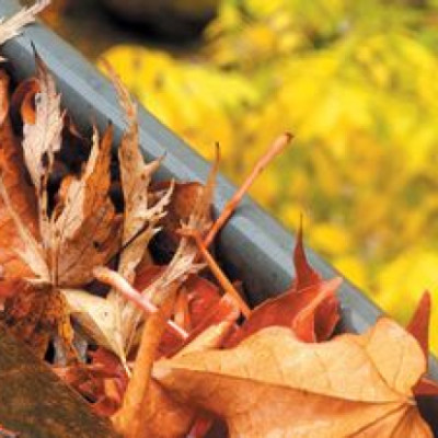 Nos conseils pour bien entretenir sa maison la première année